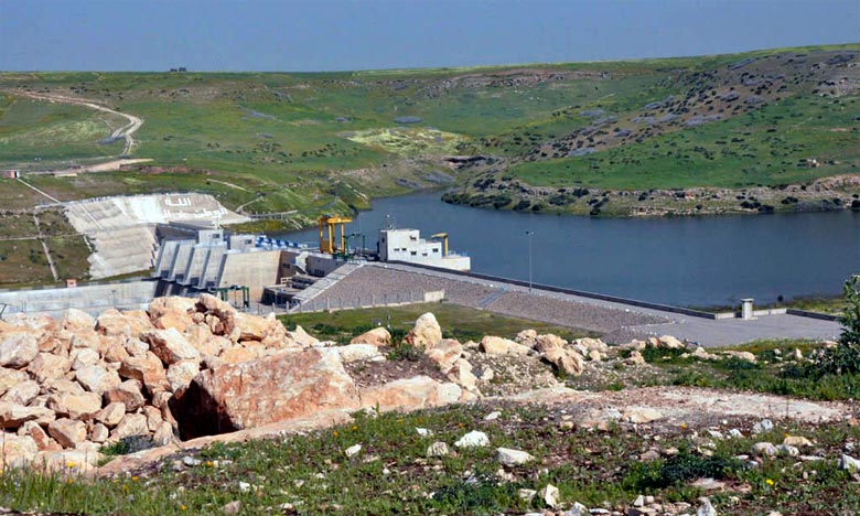 mort de poissons au barrage Ahmed El-Hansali