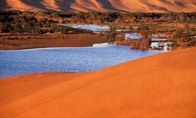 Sahara marocain