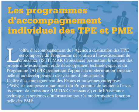 Les programmes d’accompagnement individuel des TPE et PME Les programmes d’accompagnement individuel des TPE et PME
