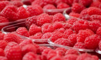 framboises