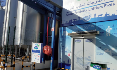 L’écosystème coopératif, moteur de croissance de l’industrie laitière dans le Souss Massa
