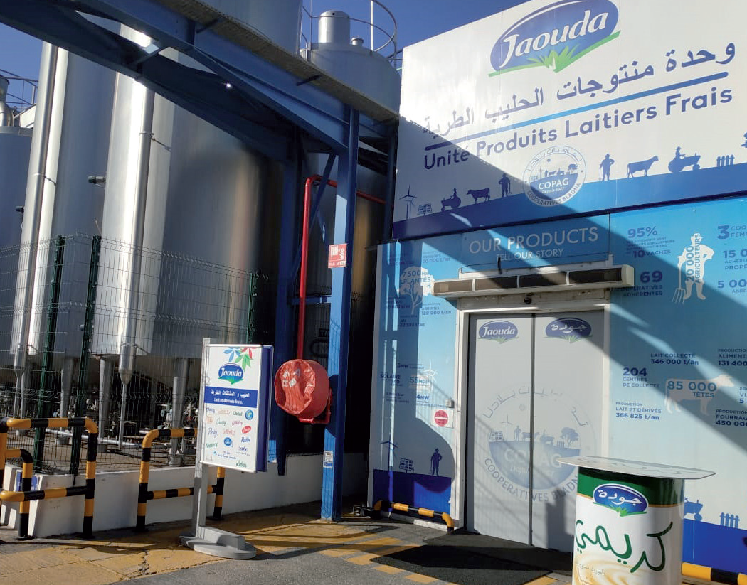 L’écosystème coopératif, moteur de croissance de l’industrie laitière dans le Souss Massa