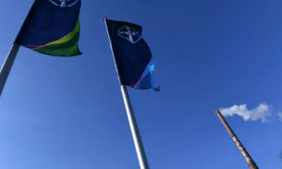 Bayer