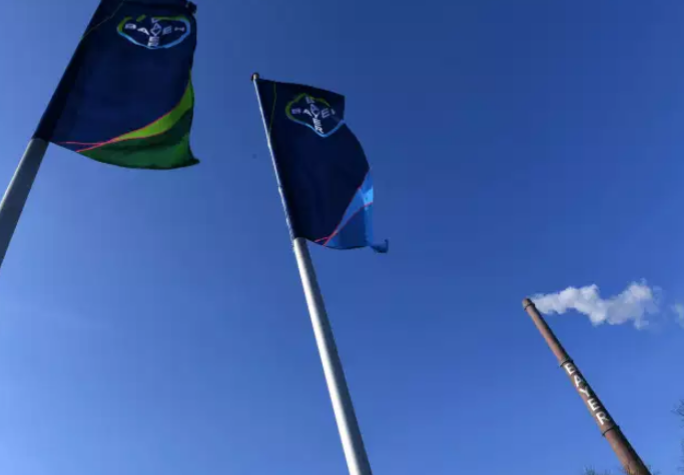 Bayer