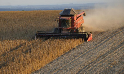 agriculture
