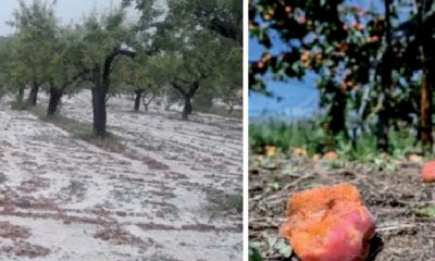 Tempête de grêle à Fès-Meknès