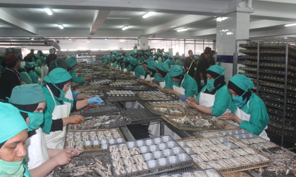 agroalimentaire poisson