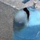 Explosion de bonbonnes de gaz