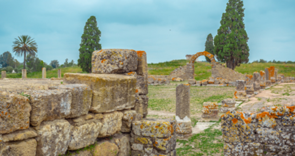 découvertes archéologiques