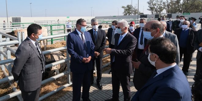 Inauguration d’un marché moderne à bestiaux à Sidi Bennour