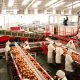 Tomates marocaines