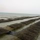 Aquaculture Dakhla