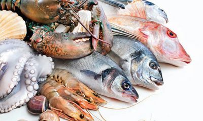 Poisson Maroc