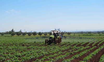 agriculture