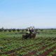 agriculture