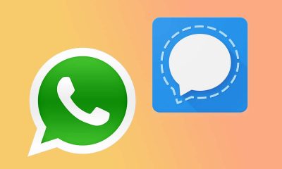 whatsapp signal