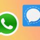 whatsapp signal