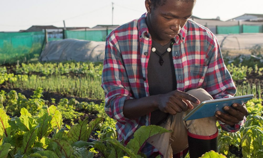 Intégration des migrants subsahariens par… l’agriculture