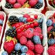 Fruits rouges