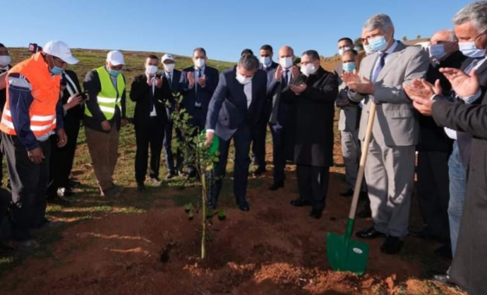 Lancement de plusieurs projets de développement agricole et forestier à Khénifra
