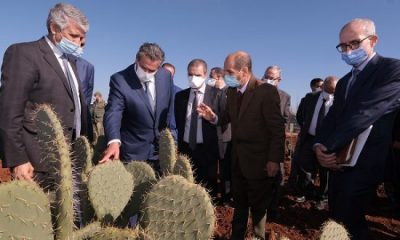 Le ministre de l'Agriculture, de la Pêche Maritime, du Développement Rural et des Eaux et Forêts, Aziz Akhannouch