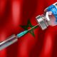Covid-19 Maroc Coronavirus