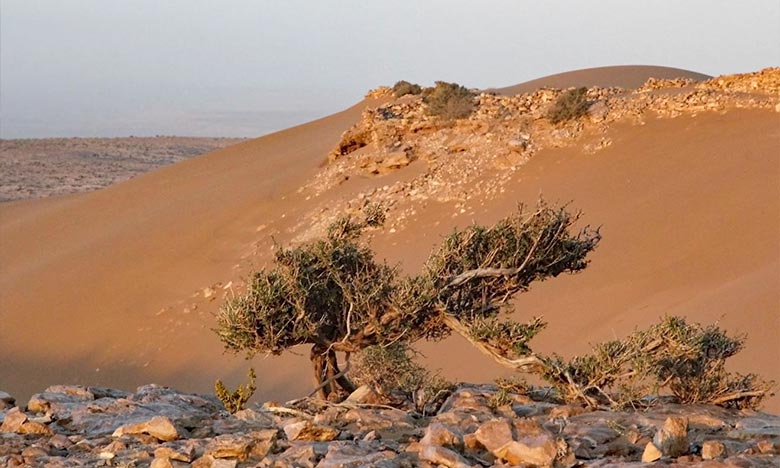 Le site naturel "Sebkhat Imlili"