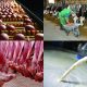 matières premières agricoles