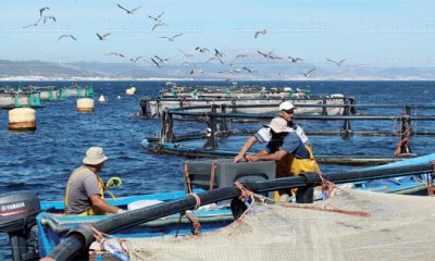 Aquaculture
