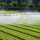 Agriculture