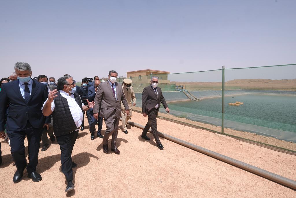 Province d’Errachidia : Visite de projets de développement agricole