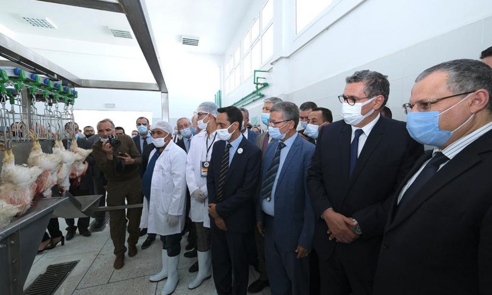 Province de Larache : Lancement et visite de plusieurs projets de l’agriculture, de la pêche maritime et des eaux et forêts