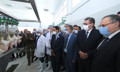 Province de Larache : Lancement et visite de plusieurs projets de l’agriculture, de la pêche maritime et des eaux et forêts