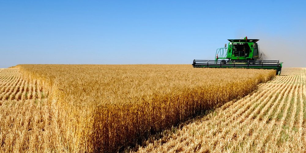 risques agricoles