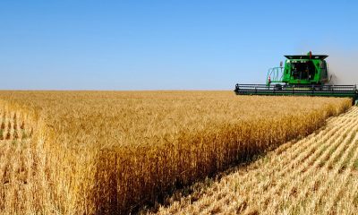 risques agricoles