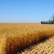 risques agricoles