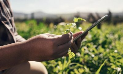 Agritech