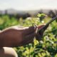 Agritech