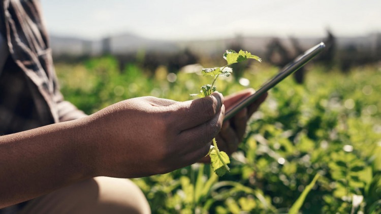 Agritech
