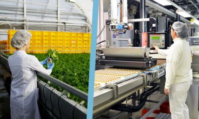 Industrie agroalimentaire