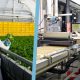 Industrie agroalimentaire