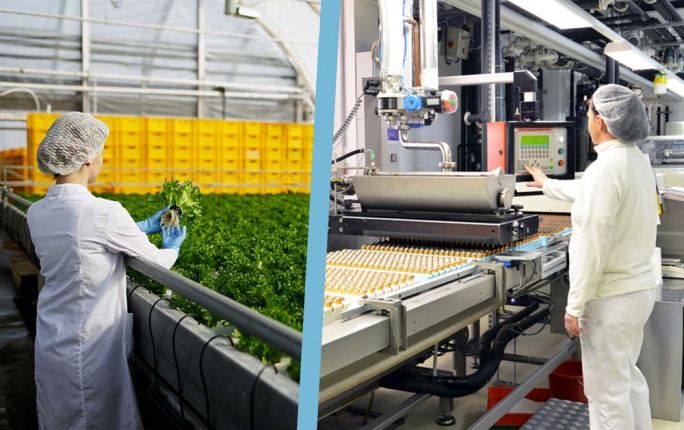 Industrie agroalimentaire