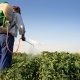 Pesticide