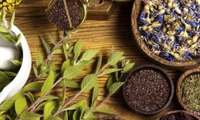 Plantes Medicinales et Aromatiques