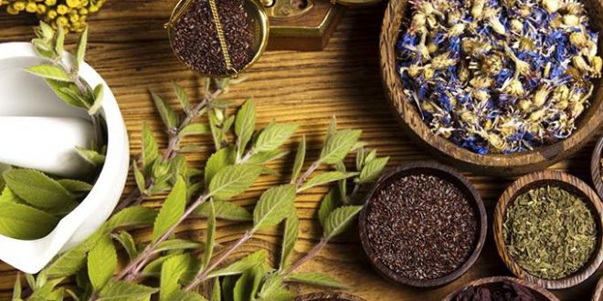 Plantes Medicinales et Aromatiques