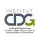 L’Institut CDG analyse les réussites de l’Afrique et ses défis
