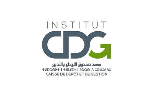 L’Institut CDG analyse les réussites de l’Afrique et ses défis