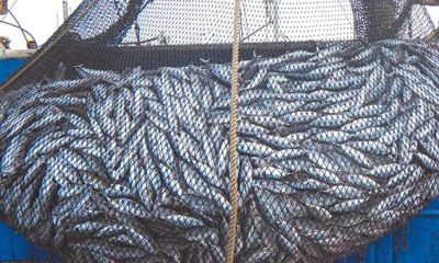 Maroc pêche