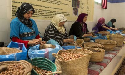 Économie Sociale et Solidaire