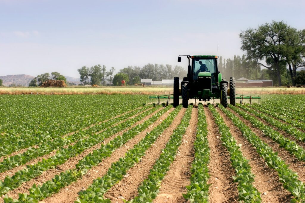 645cb19039d0e 6391df69a3371 Campagne agricole maroc